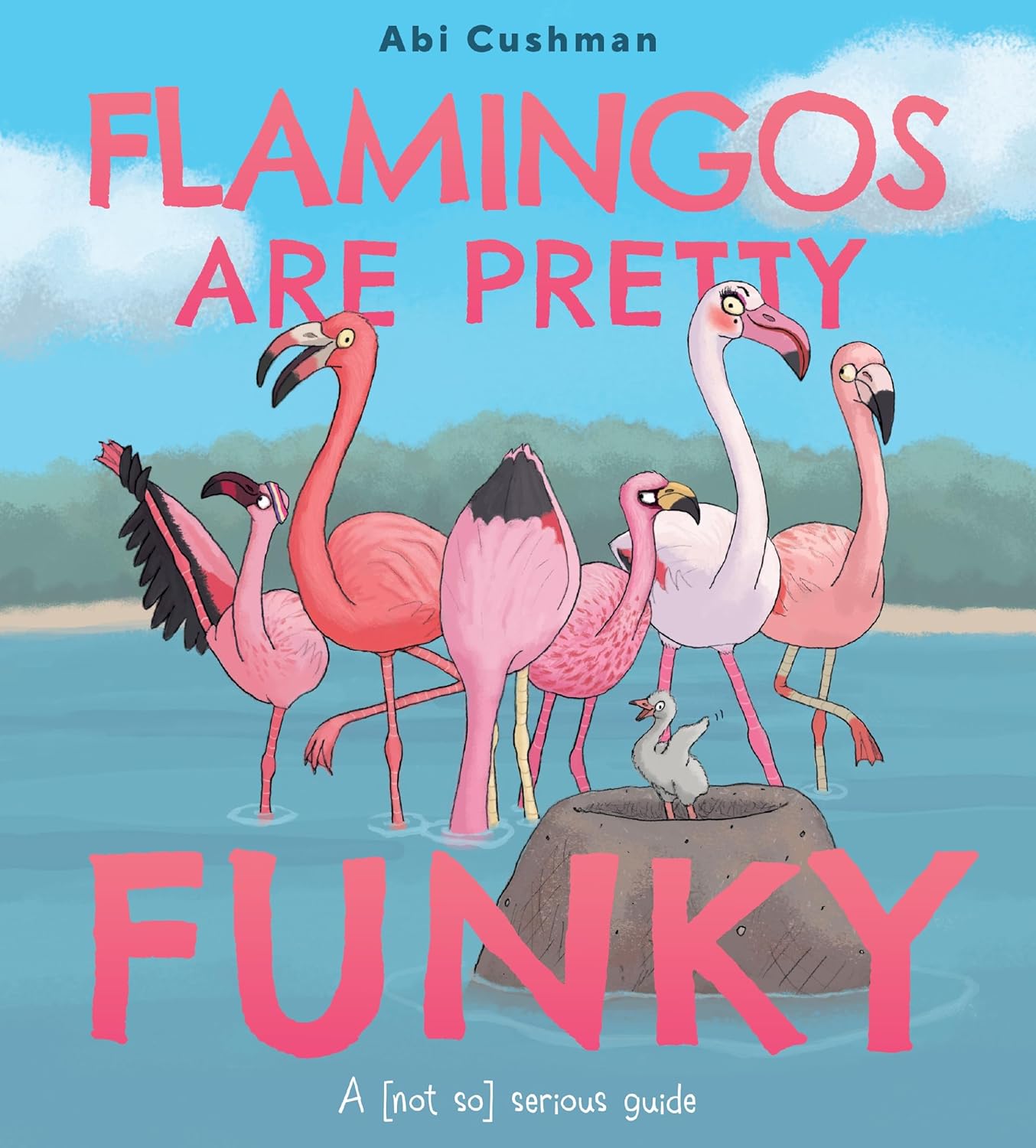 Flamingos Are Pretty Funky: A (Not So) Serious Guide By Abi Cushman