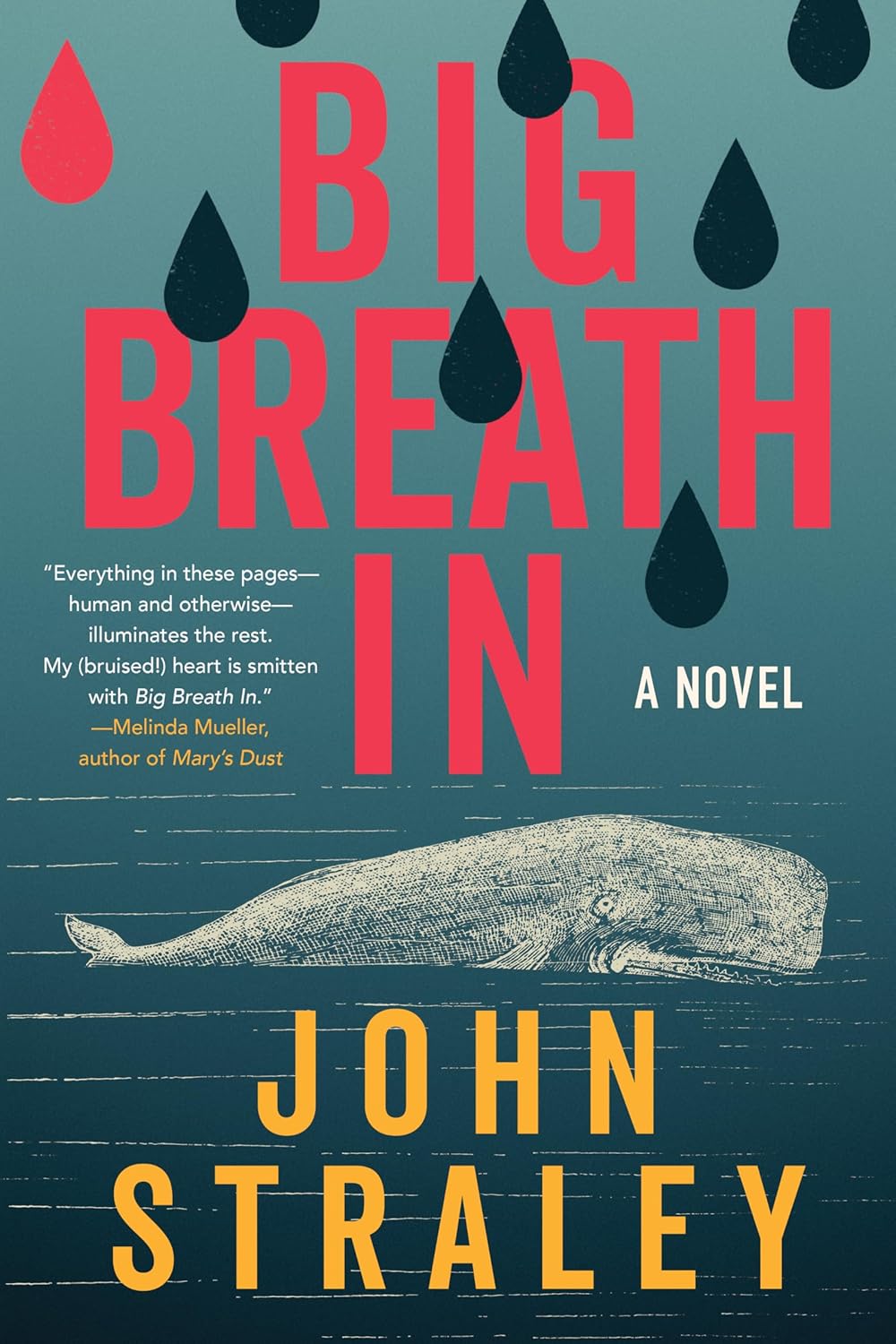 Big Breath In by John Straley