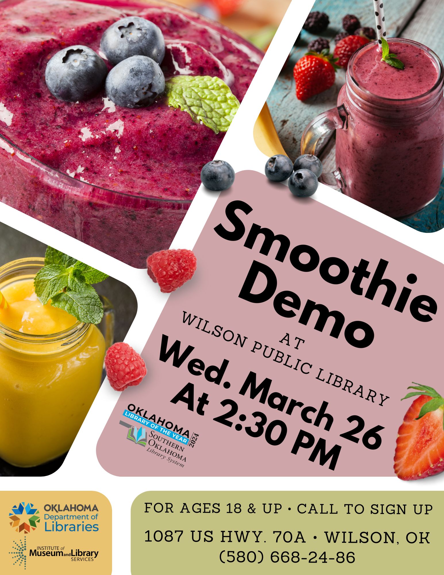 Healthy Smoothies Demo WPL Flyer