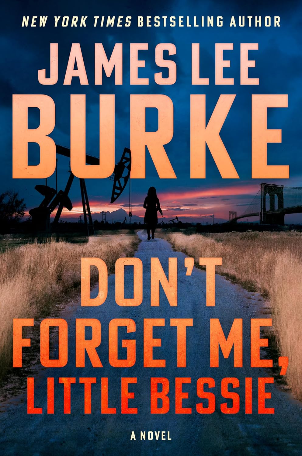 Don't Forget Me, Little Bessie By James Lee Burke