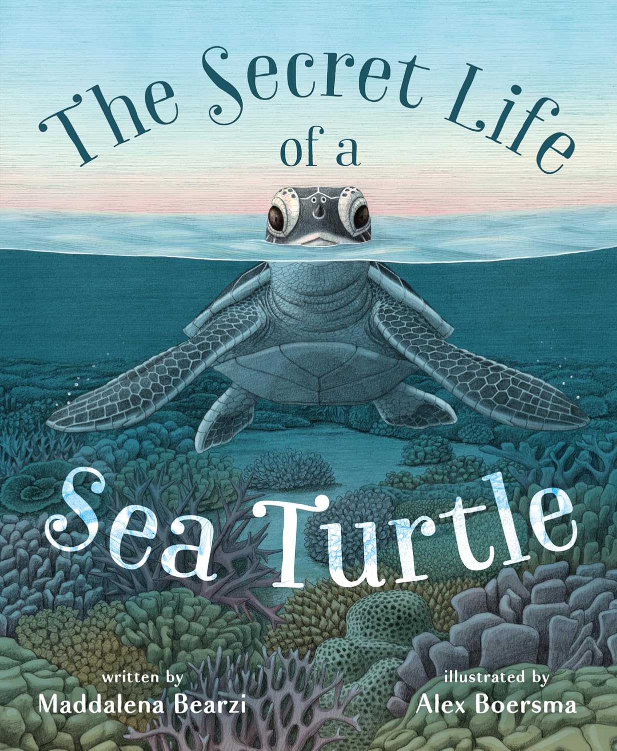 The Secret Life of a Sea Turtle By Maddalena Bearzi