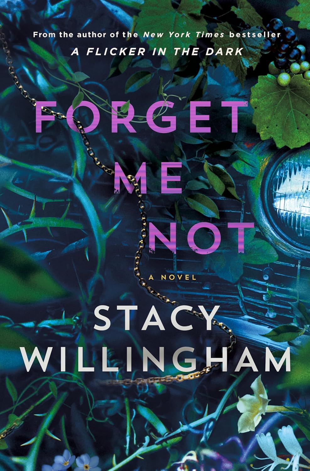 Forget Me Not By Stacy Willingham
