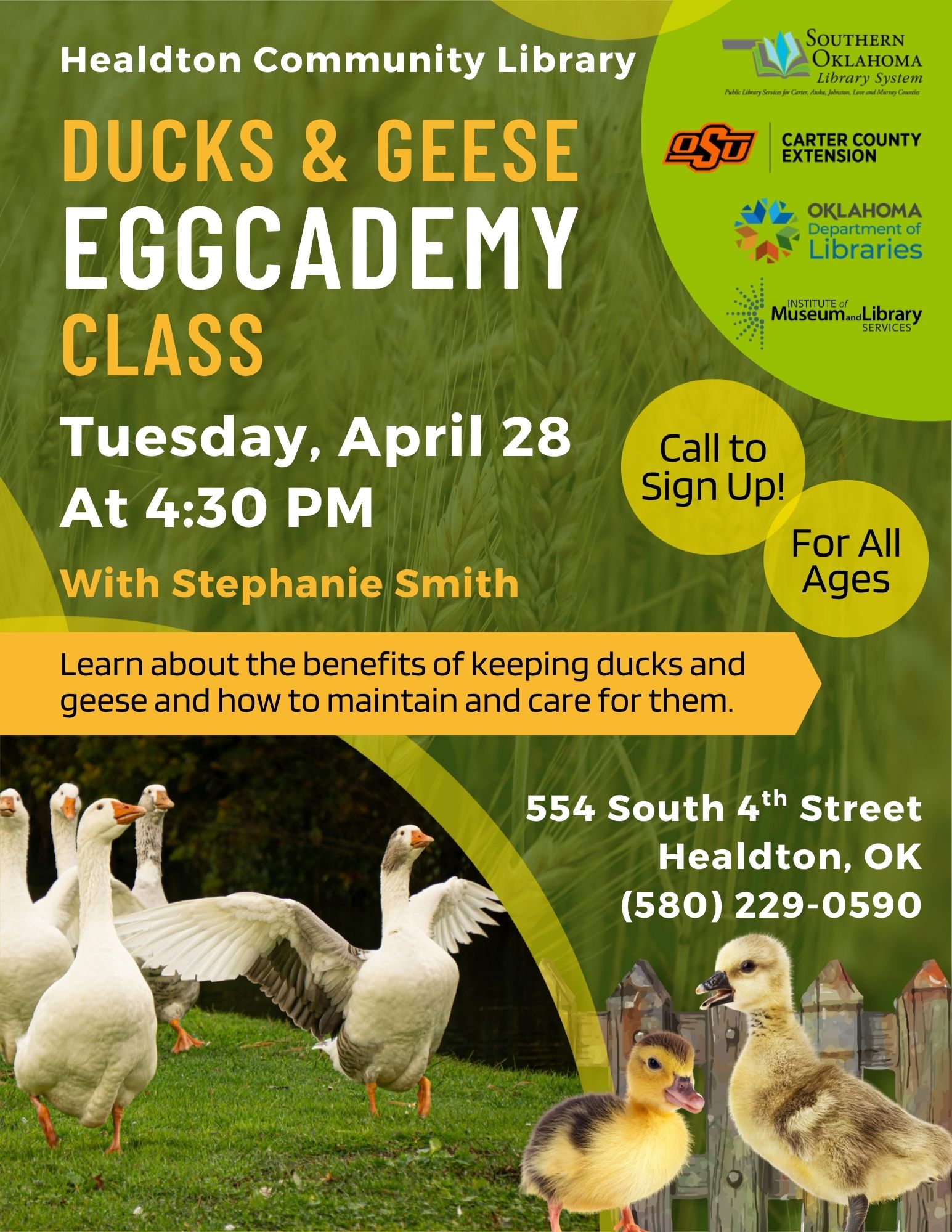 Duck and Geese Eggcademy Class HCL Flyer 2026