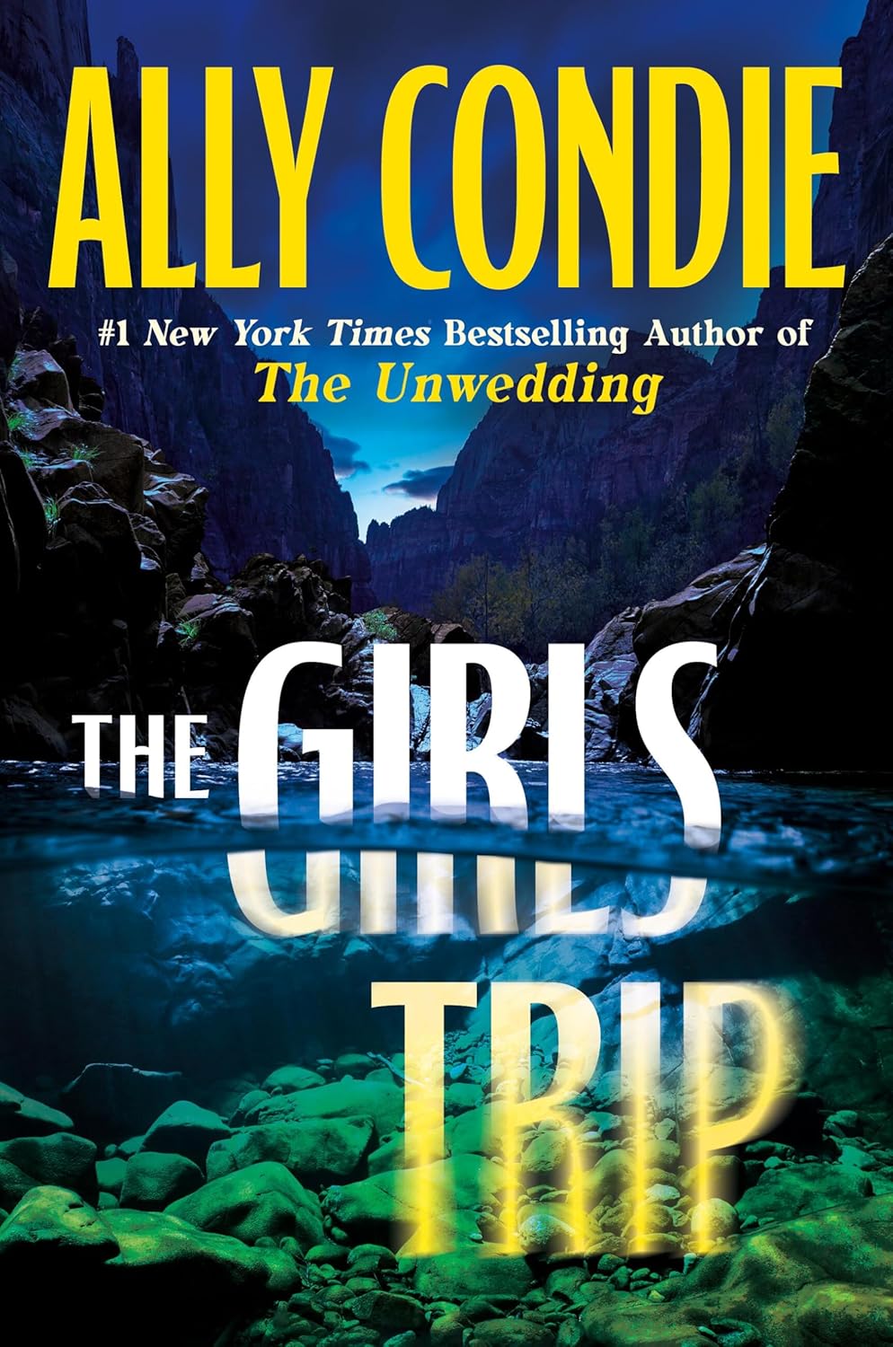 The Girls Trip By Ally Condie