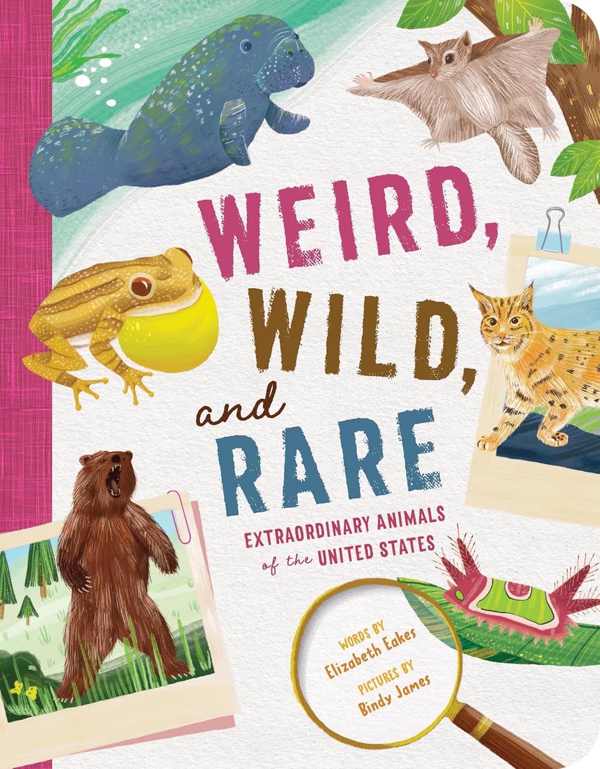 Front cover of the children's nonfiction book "Weird, Wild, and Rare: Extraordinary Animals of the United States" by Elizabeth Eakes. The cover features a charming, natural journal-style design with a rich watercolor and colored pencil aesthetic. It showcases a collection of unique North American animals, like a tiny manatee and a colorful bird, surrounded by illustrated details of flora, leaves, and animal tracks. The title is written across the center in a bold, friendly font with the author's and illustrator's names neatly printed.