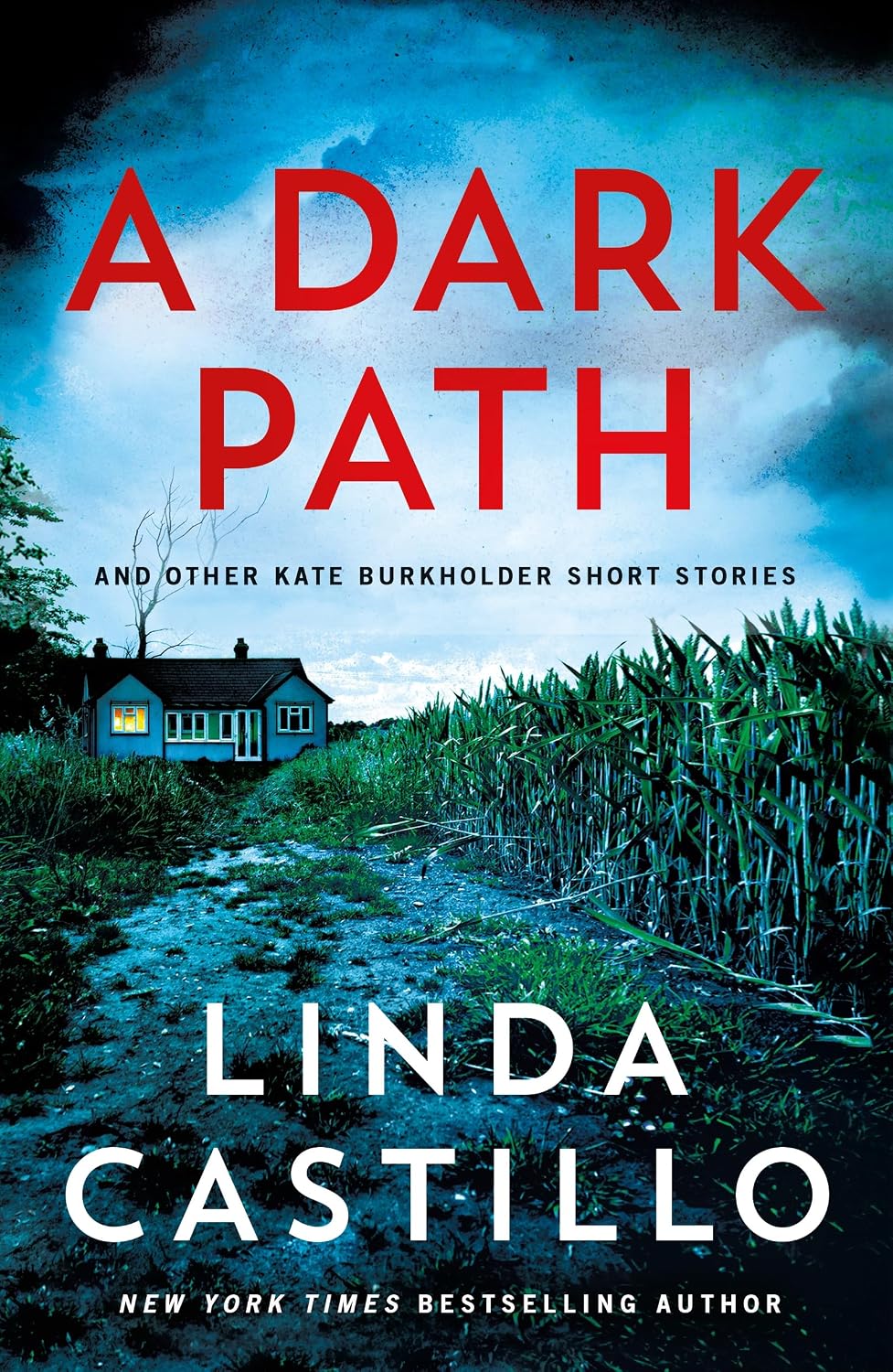 A Dark Path and Other Kate Burkholder Short Stories" by Linda Castillo. A dirt path winds through overgrown grass and a cornfield toward a small blue farmhouse with a lit window, set beneath a stormy blue sky. The title is in large red letters at the top, with the author's name in white at the bottom and a "New York Times Bestselling Author" tag below.