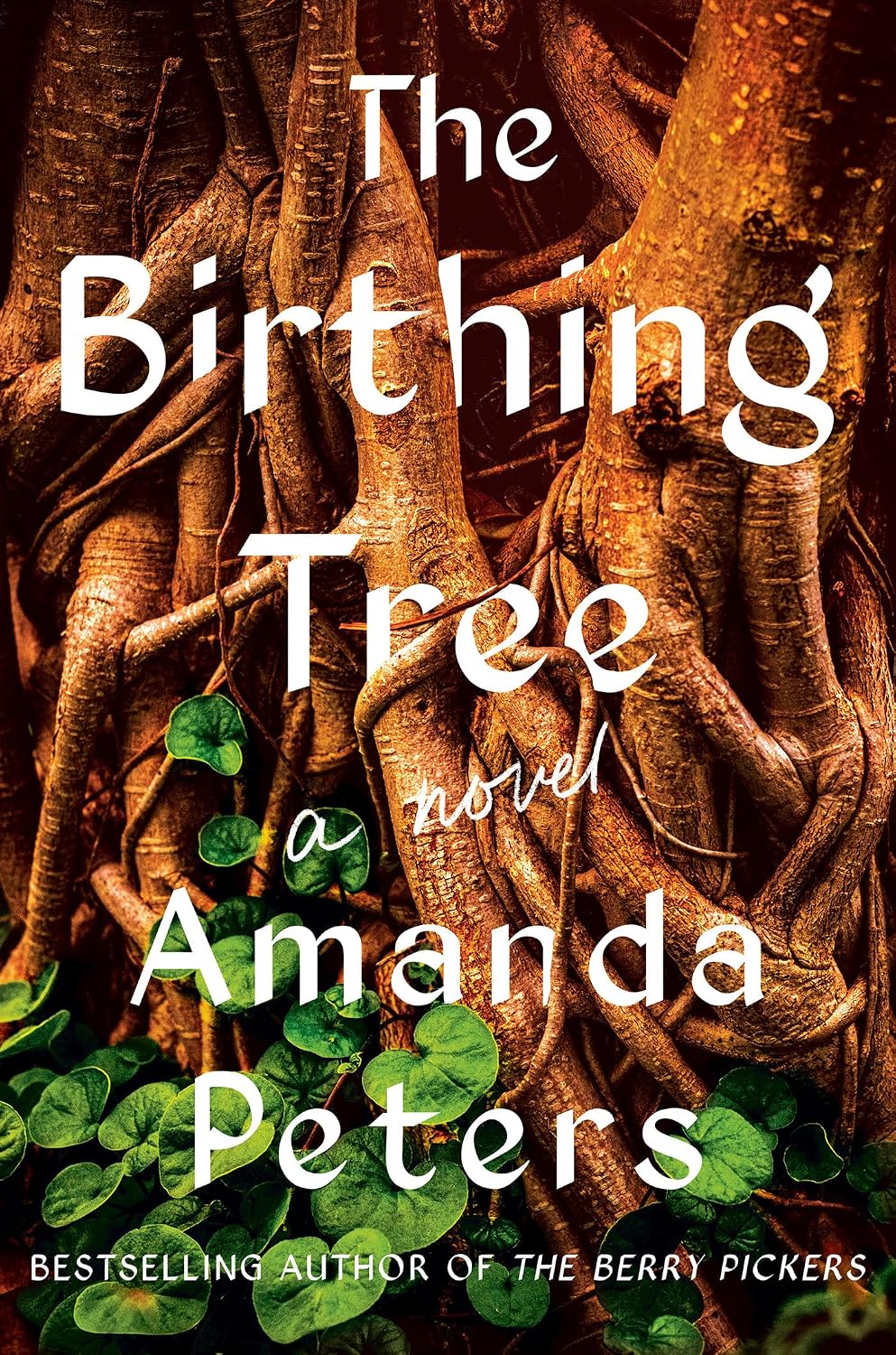 Book cover for "The Birthing Tree" by Amanda Peters, showing a close-up of tangled tree roots with green leafy vines, in warm brown tones.