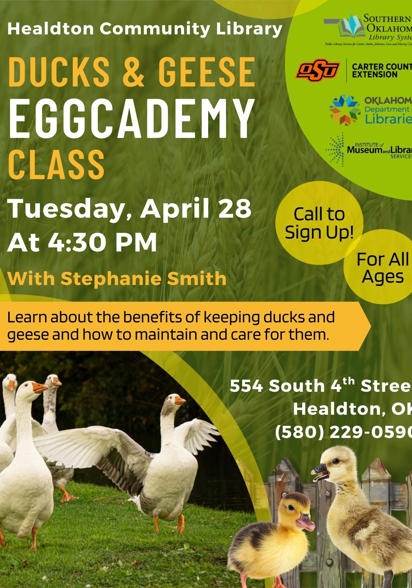 Duck and Geese Eggcademy Class HCL Flyer 2026