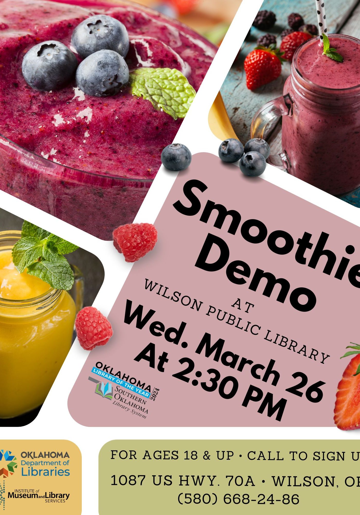 Healthy Smoothies Demo WPL Flyer